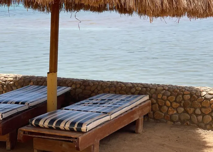 Apart Otel Tiba Golden With Pool View Steps From Sea